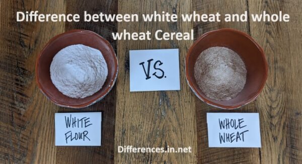 Difference between white wheat and whole wheat Cereal
