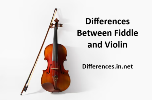 Differences between fiddle and violin